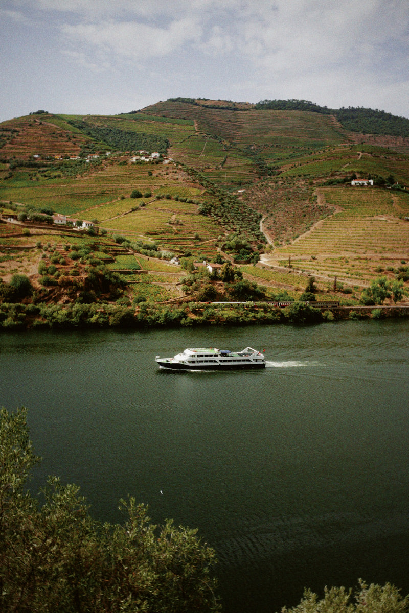 Arquitectura tradicional y paisajes de viñedos que caracterizan la vista panorámica del valle del río Duero.