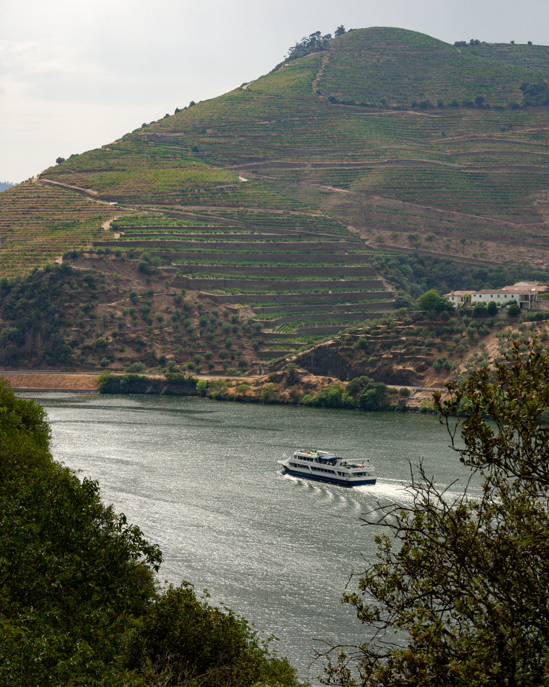Barcos navegando por el río Duero en Pinhão durante el atardecer.