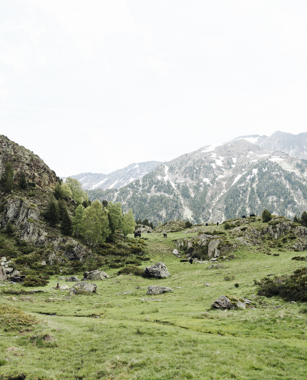 Guía de viaje La Cerdanya, Le Periplo Weekender, recomendaciones sobre Cerdanya, Cerdaña, Cataluña, recomendaciones gastronómicas de La Cerdanya