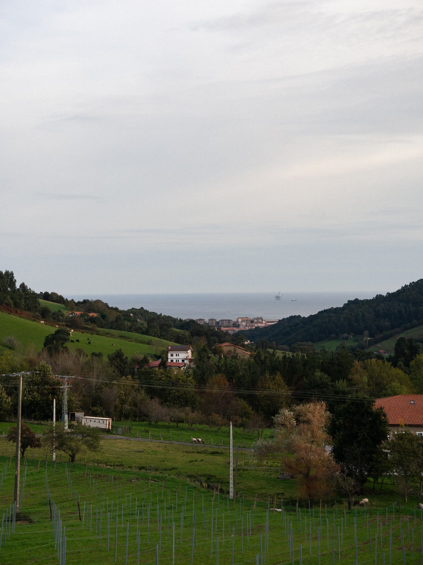 Vista panorámica de la Reserva de Urdaibai, fachada rústica del Hotel Nafarrola, interior de una habitación con bañera de hidromasaje, terraza privada con vistas al paisaje vasco, plato gourmet del restaurante Rola, chef Gaizka Goikoetxea Larrauri en la cocina, comedor elegante con mesas dispuestas para cena, senderos naturales alrededor del hotel, detalle de materiales nobles en la decoración, ambiente acogedor en la sala común del hotel. Guia de viaje Urdaibai, recomendaciones para Urdaibai.