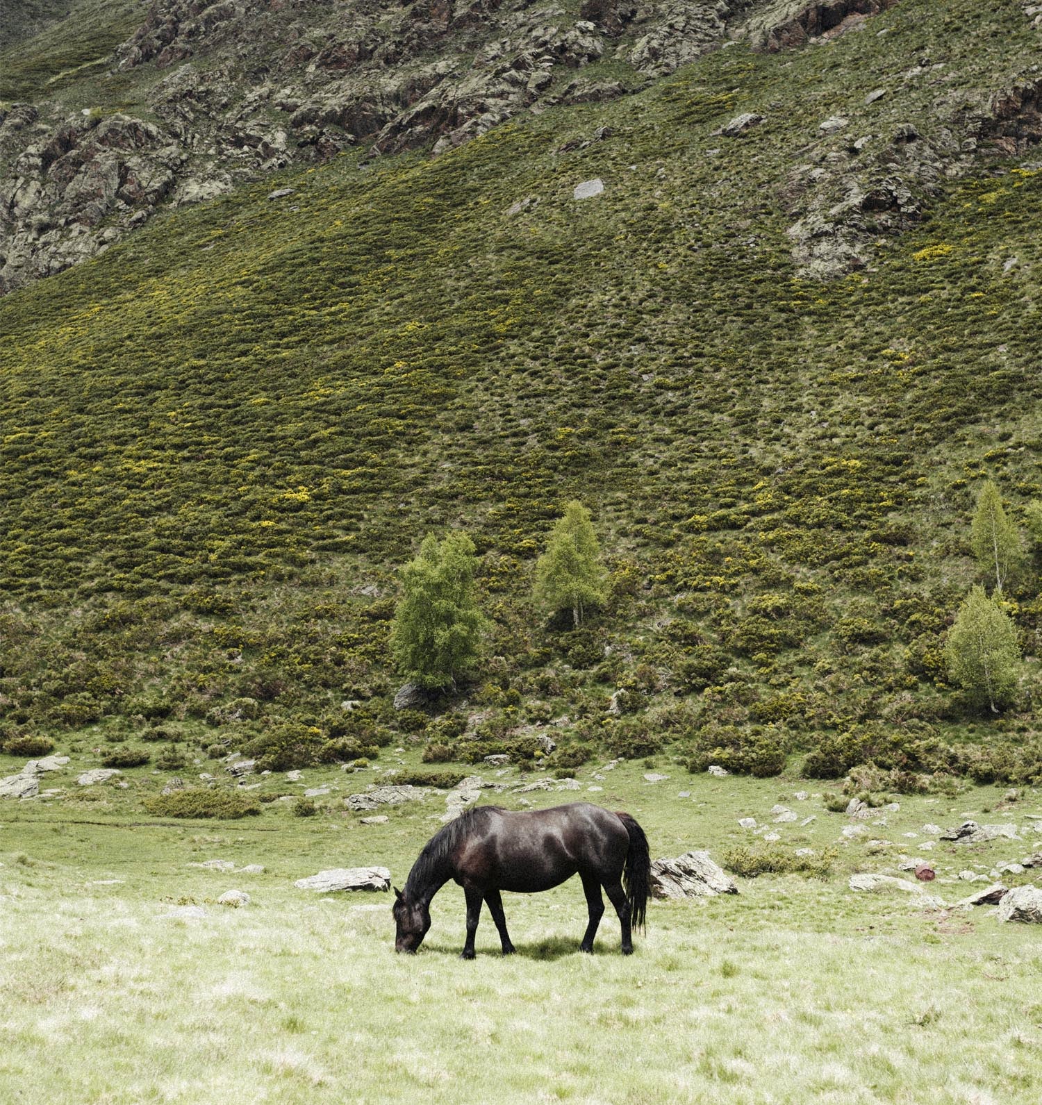 Guía de viaje La Cerdanya, Le Periplo Weekender, recomendaciones sobre Cerdanya, Cerdaña, Cataluña, recomendaciones gastronómicas de La Cerdanya