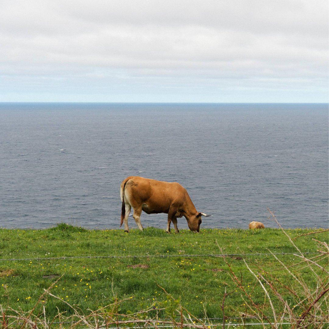Guía de viaje de Asturias, Costa Verde, Cantábrico, Le Periplo Weekender, recomendaciones para un fin de semana sobre gastronomía y playa Costa Verde, Asturias, Recorrido por Asturias