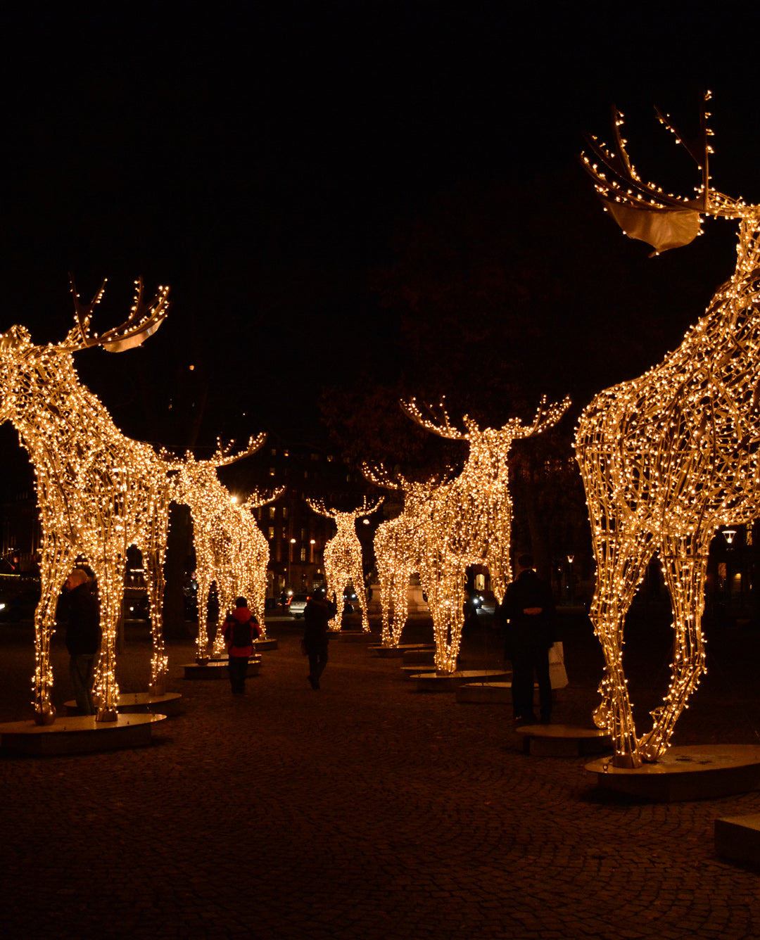 Guías de viaje para Navidad.
Planes navideños.
Destinos para viajar en Navidad.
Mercadillos navideños.
Escapadas de invierno.
Luces de Navidad. Guía de viaje Alsacia