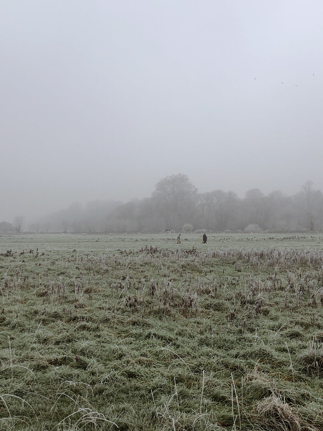 Destinos navideños, viaja en Navidad, Londres, Richmond, Destinos de invierno, Londres, Guía de Richmond, Le Periplo.