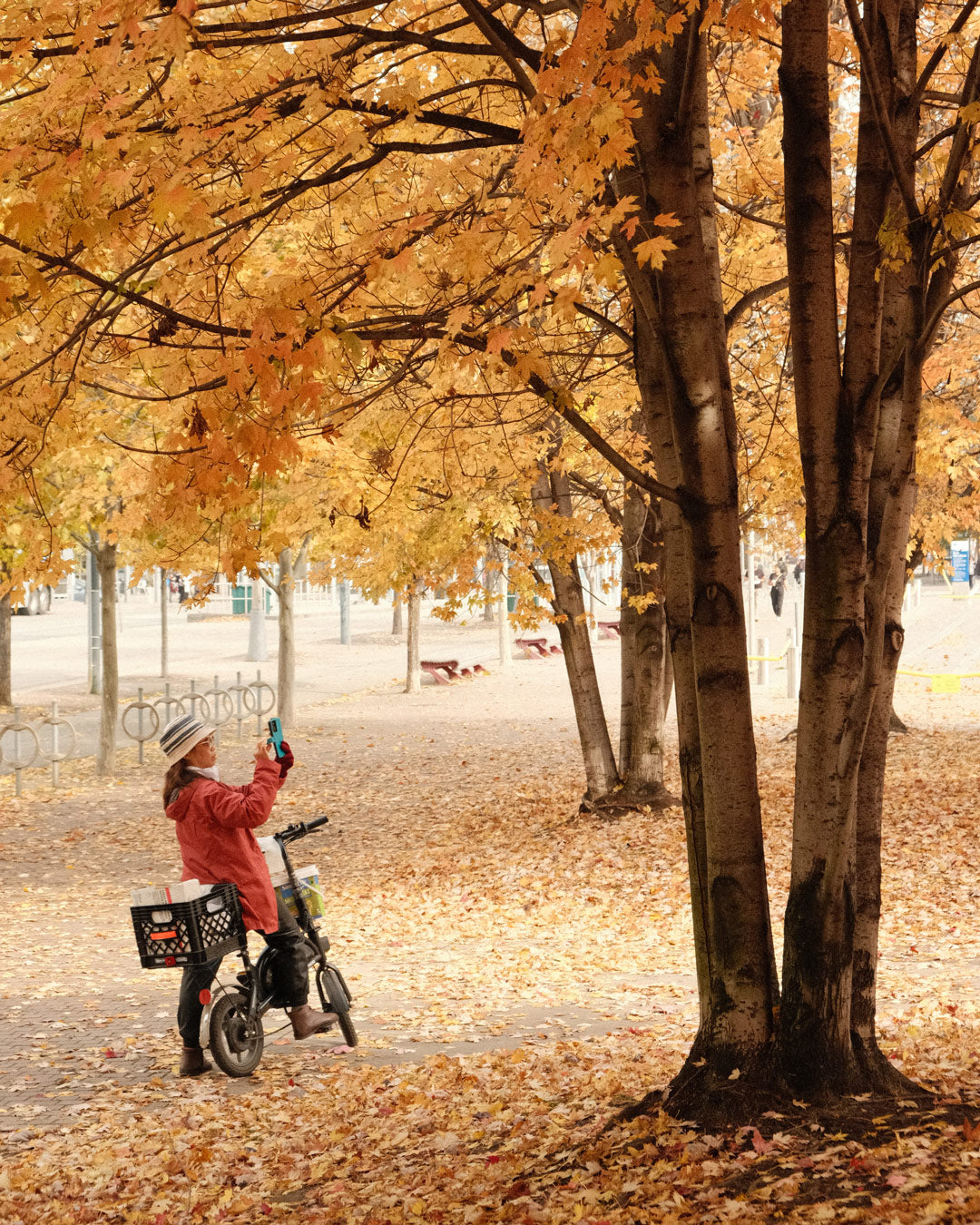 Una mujer toma una foto en el Waterfront de Toronto en pleno otoño. El suelo está cubierto de hojas doradas y los árboles lucen tonos cálidos. Una imagen serena de Toronto Este de la ciudad, donde la naturaleza se encuentra con el lago.