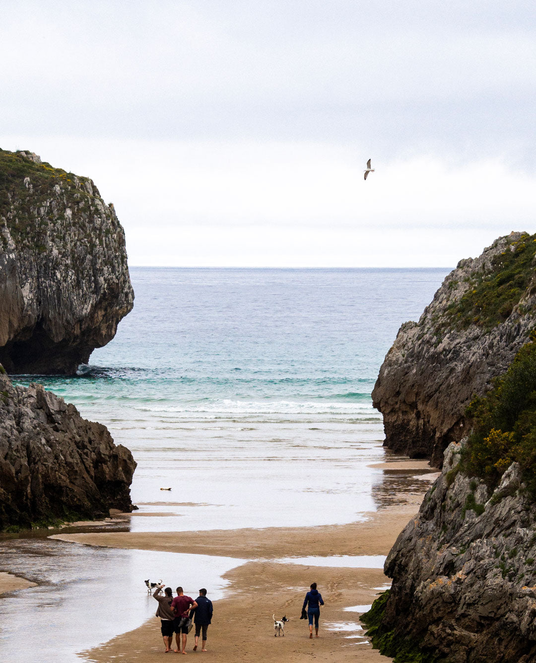 Vista una playa entre un acantilado verde sobre el Cantábrico en la costa asturiana.