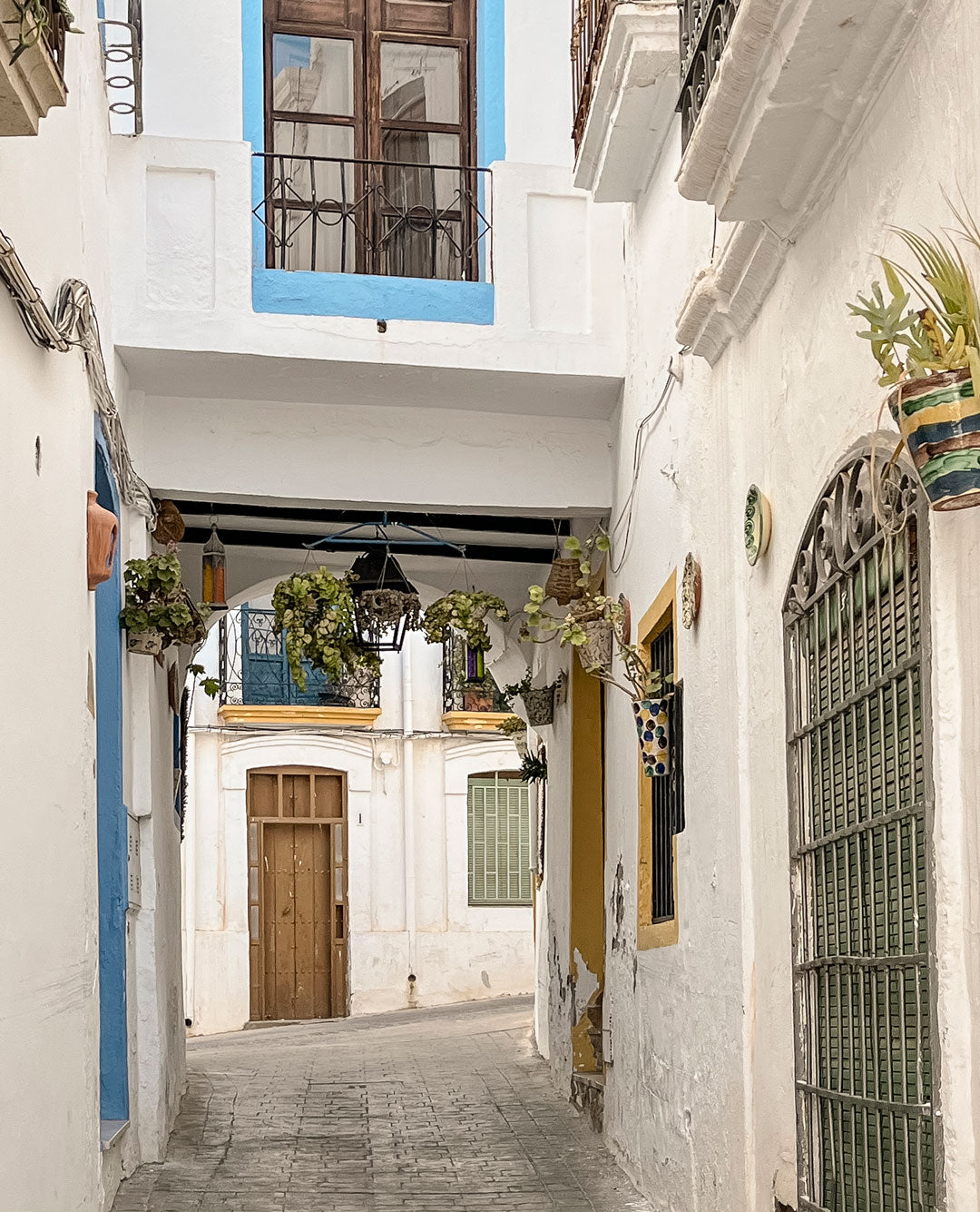 Fachadas blancas y macetas de colores y plantas en el centro de Níjar.