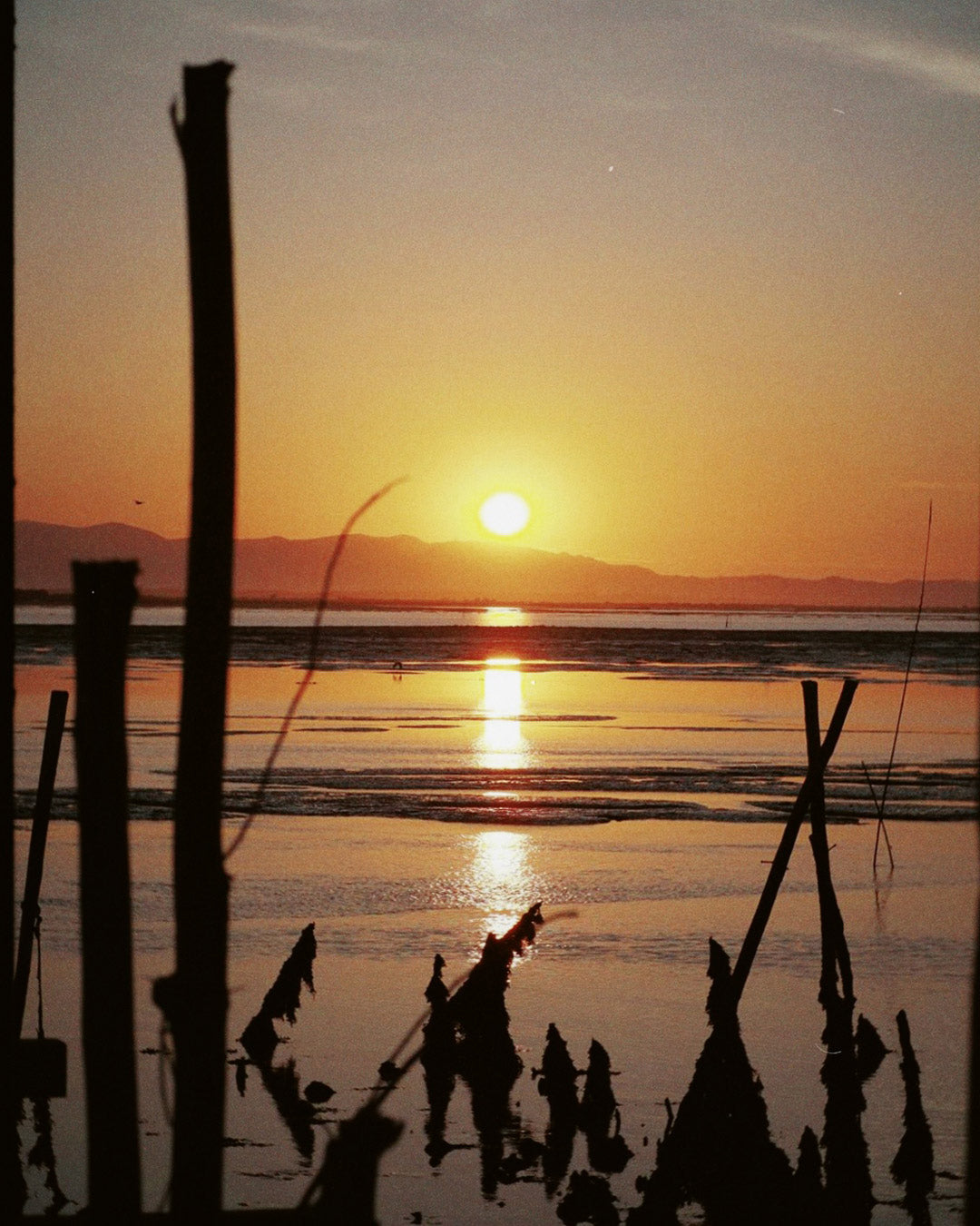 Atardecer en Cais Palafítico da Carrasqueira, Comporta