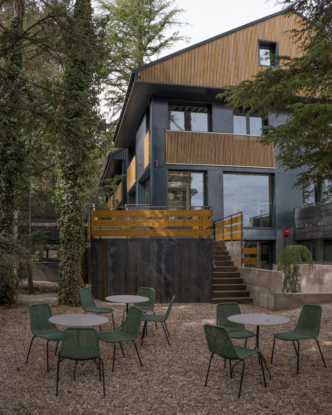 Exterior del Box Art Hotel Alpino en Navacerrada, rodeado de pinos y ambiente de montaña, ideal para una escapada romántica cerca de Madrid.
